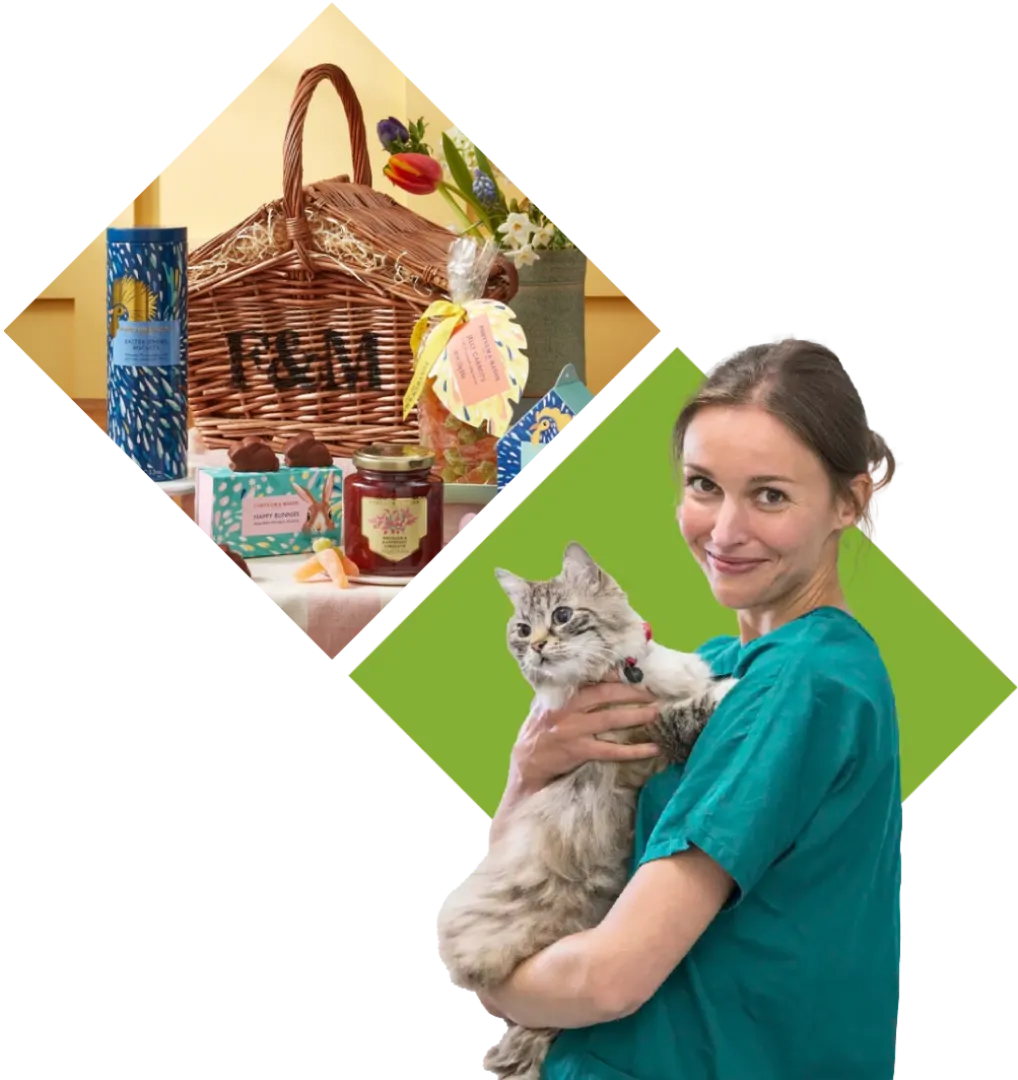 vet holding cat with dna background including f&m hamper