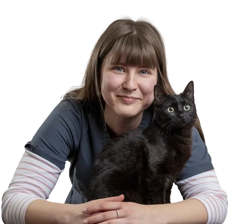 new-member-offer-vet vet hugging black cat