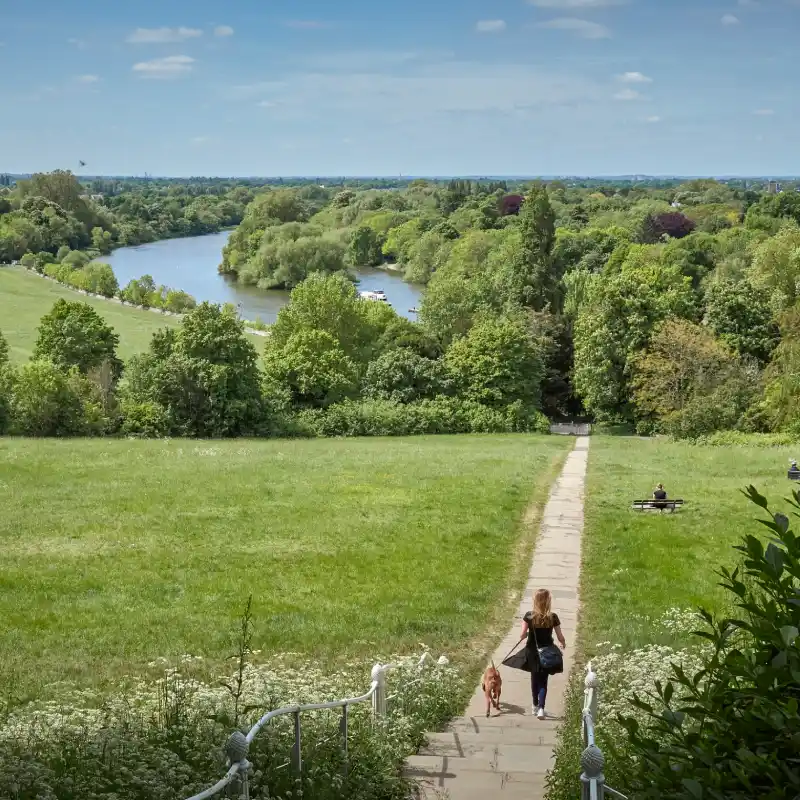 dog owner walking dog in Richmond park