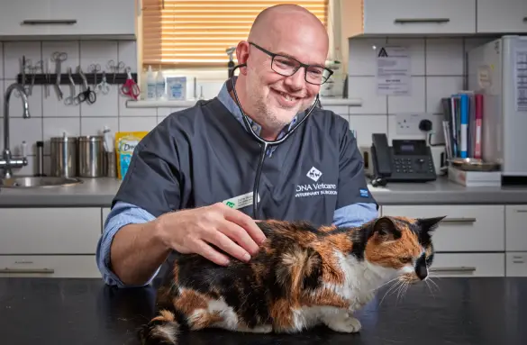 cat-microchipping (1)